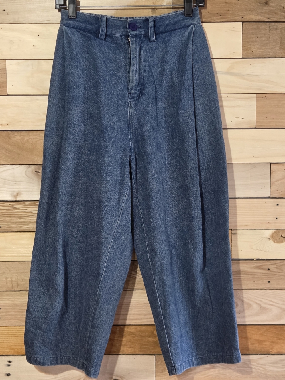 Elastic Waist Pleated Denim Pants XS 25-27 Straight Leg Minimalist Casual Chic